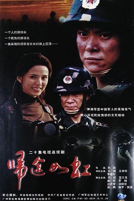 因为爱情有奇迹DVD