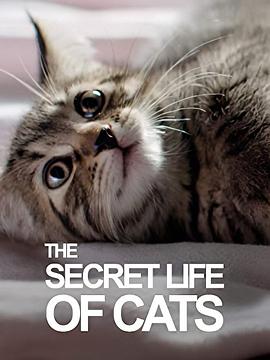 BBC地平线:猫的秘密生活
