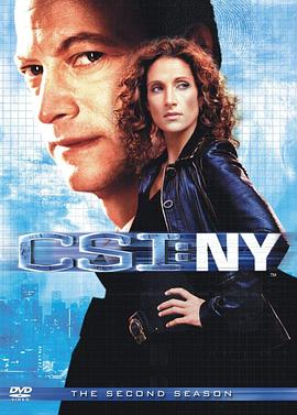 犯罪现场调查:纽约第二季